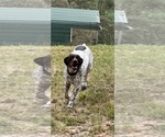 Small #8 Breeder Profile image