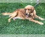 Small #70 Breeder Profile image
