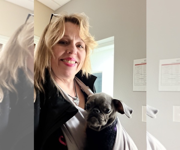 Medium Photo #4  Breeder Profile in SPRING BRANCH, TX, USA