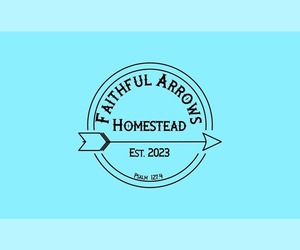 Labrador Retriever Dog Breeder near ERWIN, NC, USA