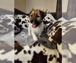 Small #25 Breeder Profile image