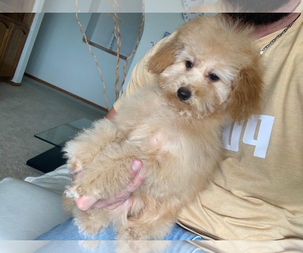 Medium Photo #3  Breeder Profile in VICTORVILLE, CA, USA