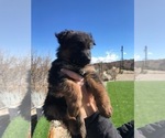 Small #109 Breeder Profile image