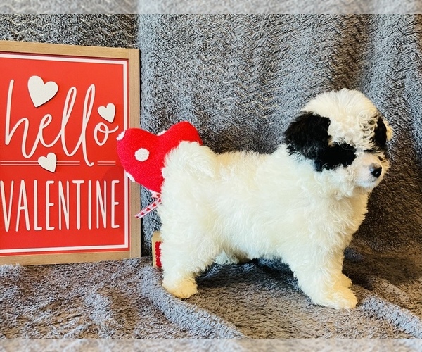 Medium Photo #2  Breeder Profile in GROVETON, TX, USA