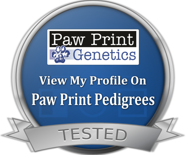 Medium Photo #7  Breeder Profile in CITRUS HEIGHTS, CA, USA