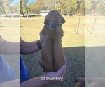 Small #47 Breeder Profile image