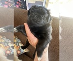 Small #3 Breeder Profile image