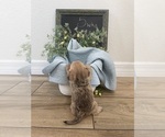 Small #11 Breeder Profile image