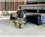 Small #161 Breeder Profile image