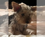 Small #4 Breeder Profile image