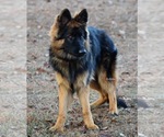 Small #4 Breeder Profile image