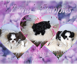 Small breeder photo