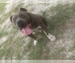 Small #11 Breeder Profile image