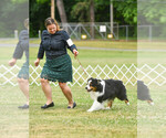 Small #4 Breeder Profile image