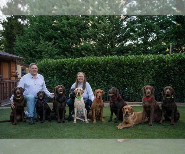 Medium Photo #1  Breeder Profile in ARLINGTON, VA, USA