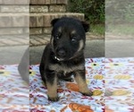 Small #3 Breeder Profile image