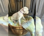 Small #3 Breeder Profile image