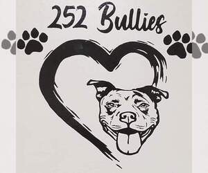 American Bully Dog Breeder near CURRITUCK, NC, USA