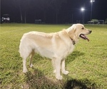 Small #5 Breeder Profile image