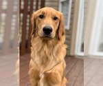 Small #12 Breeder Profile image