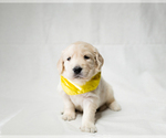 Small #19 Breeder Profile image