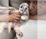 Small #8 Breeder Profile image