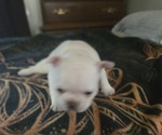 Small #5 Breeder Profile image