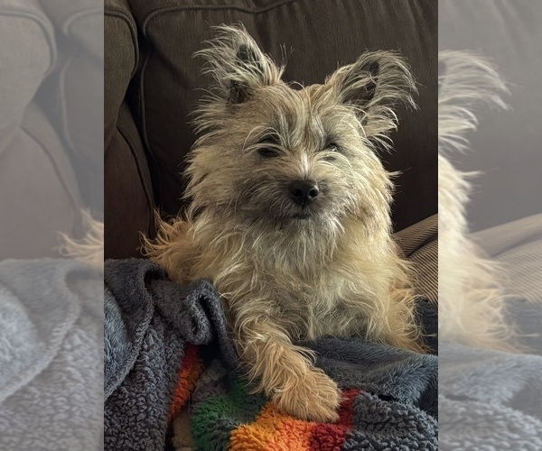 Medium Photo #7  Breeder Profile in FAIR OAKS, CA, USA