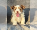 Small #3 Breeder Profile image