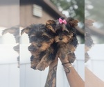 Small #6 Breeder Profile image