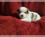 Small #88 Breeder Profile image