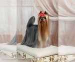 Small #30 Breeder Profile image