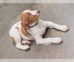 Small #3 Breeder Profile image