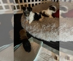 Small #6 Breeder Profile image