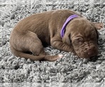 Small #28 Breeder Profile image