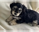 Small breeder photo