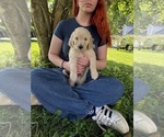 Small #5 Breeder Profile image