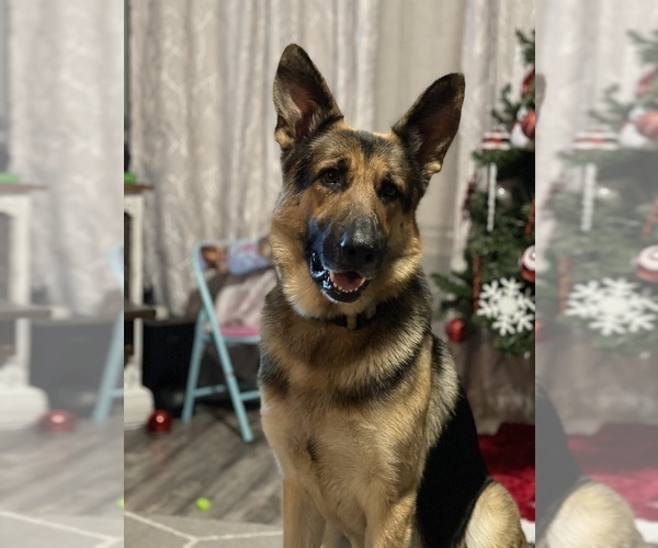 Medium Photo #1  Breeder Profile in ROBINSON, TX, USA