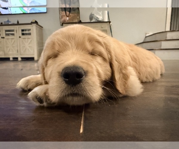 Medium Photo #3  Breeder Profile in HAMILTON, AL, USA