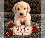 Small #4 Breeder Profile image