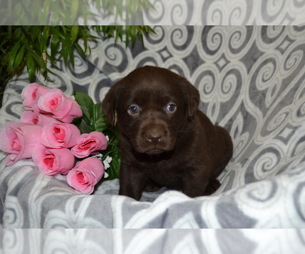 Medium Photo #11  Breeder Profile in GREENWOOD, WI, USA