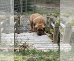 Small #13 Breeder Profile image
