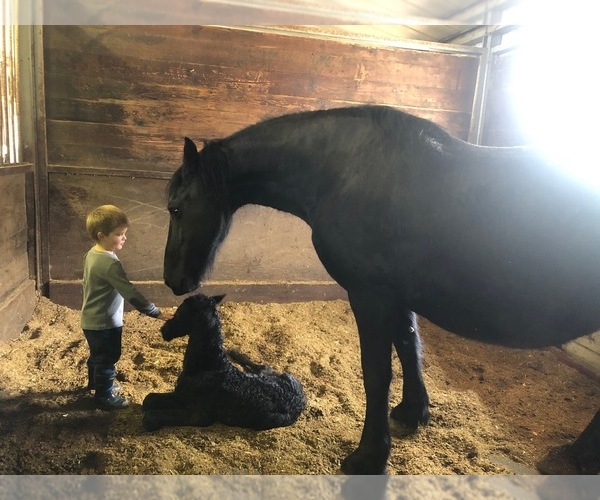 Medium Photo #1  Breeder Profile in MODESTO, CA, USA