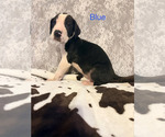 Small #16 Breeder Profile image