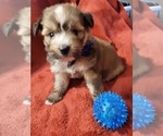 Small #3 Breeder Profile image