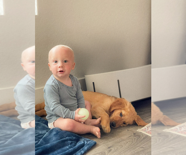Medium Photo #30  Breeder Profile in CHINO VALLEY, AZ, USA