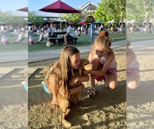 Medium Photo #6  Breeder Profile in FORT COLLINS, CO, USA
