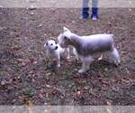 Small #4 Breeder Profile image