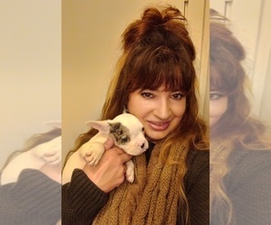 Medium Breeder Profile Photo