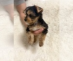 Small #1 Breeder Profile image